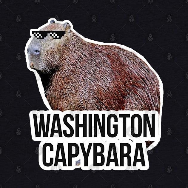 Washington capybara meme by NeedsFulfilled